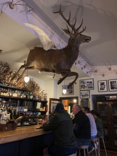 The Flying Stag