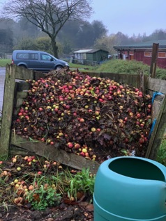 Apple Compost