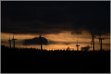 evening windmills 2