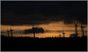 evening windmills 3