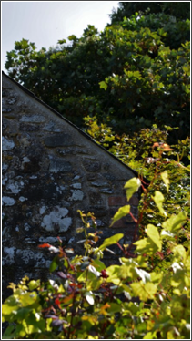 august angles